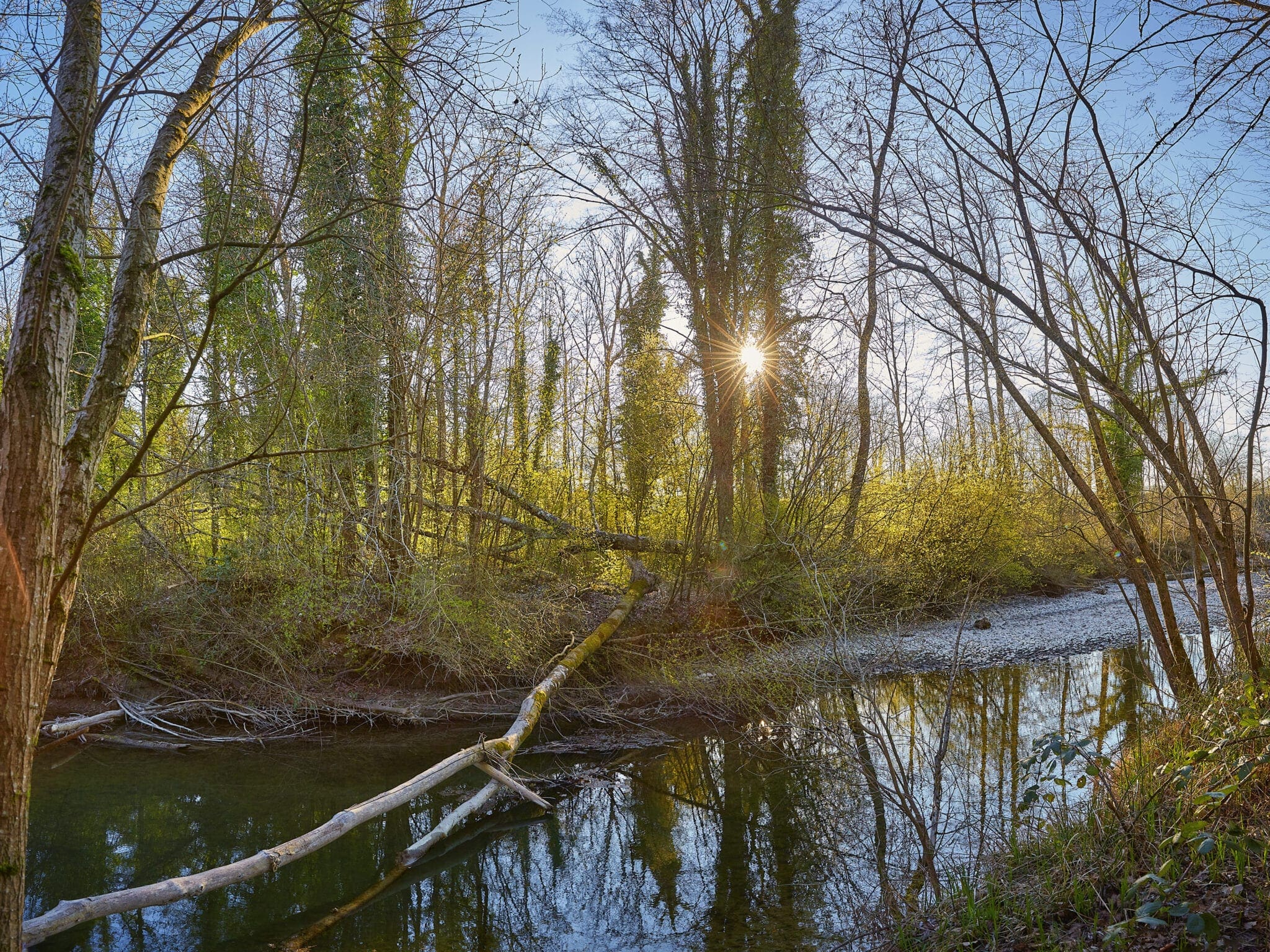 Flusslandschaften • ujofotodesign